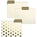 Cream and Gold File Folder Set