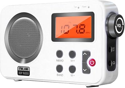 Amusingtao Portable Shower Radio FM AM LCD Display Stereo Speaker Earphone Port