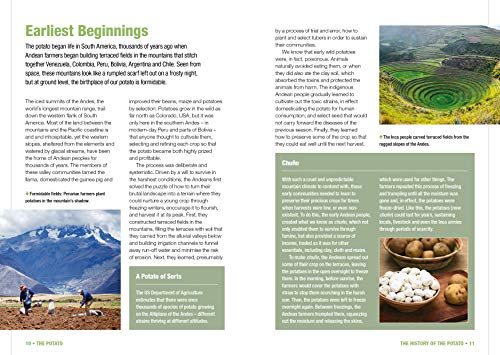 image for The Potato: History, culture and varieties - Growing and storing your 