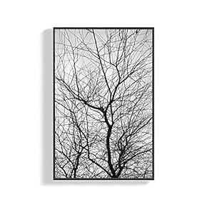 SIGNFORD Framed Canvas Home Artwork Decoration Plants Canvas...