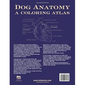 Dog Anatomy: A Coloring Atlas