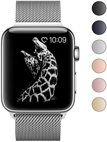 Lelong for Apple Watch Band 38mm 42mm,Milanese Loop Fully Magnetic Clasp Stainless Steel Mesh iWatch Band for Apple Watch Series 3 Series 2 Series 1 Sport &amp; Edition (42mm, Silver)