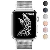 BRG Stainless Steel Mesh Milanese Loop with Adjustable Magnetic Closure Replacement Metal iWatch Band for Watch Series 3/2/1 Nike+ Sport and Edition 42mm Silver