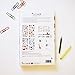 DECOWALL DW-1308 Alphabet ABC and Animals Kids Wall Stickers Wall Decals Peel and Stick Removable Wall Stickers for Kids Nursery Bedroom Living Room (Medium) d?cor