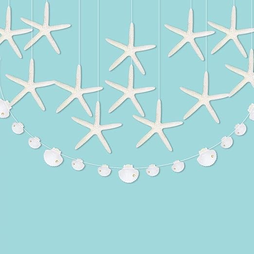 estrellas de mar amazon