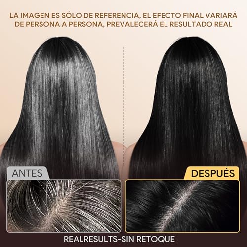 Black Hair Dye Shampoo 3 in 1, Shampoo para Canas con Tinte, Champú para Teñir el Cabello Negro, Cobertura de Canas con Ingredientes Herbales, 500ml (Negro)