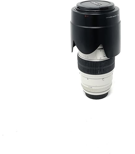 Amazon.com : Used Canon Extender EF 2X II : Camera Lenses