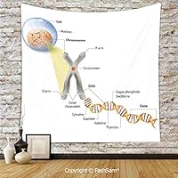 FashSam Hanging Tapestries Cell Chromosome DNA Gene Genome Study Double Helix Evolution Science Research Decorative Wall Blanket for Living Room Dorm Decor(W39xL59)