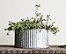 Creative Co-op Corrugated Tin Planter for 6