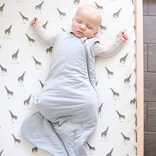 KYTE BABY Unisex Bamboo Rayon Sleeping Bag for Babies and Toddlers, 1.0