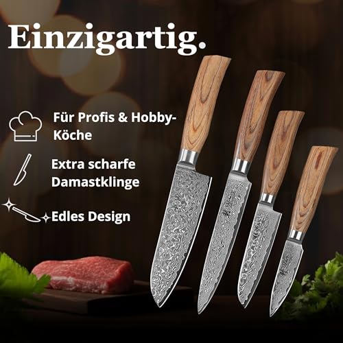 Wakoli EDIB Pro 4-Piece Kitchen Knife Set Made of Damascus Steel (VG10 Core) in Elegant Gift Box - Sharp Damascus Knife Set with Pakka Wood Handles - Knife Set with 2 x Santoku, Meat Knife & Office Knives