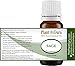 Sage Essential Oil (Austria) 10 ml 100% Pure Undiluted Therapeutic Grade.