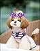 10pcs/Pack Yorkshire Dog Hair Clips Pearls Centre Pet Dog Grooming Bows Supplies Pet Hair Clips Teddy Exquisite Rabbit Ears Dog Hair Accessories