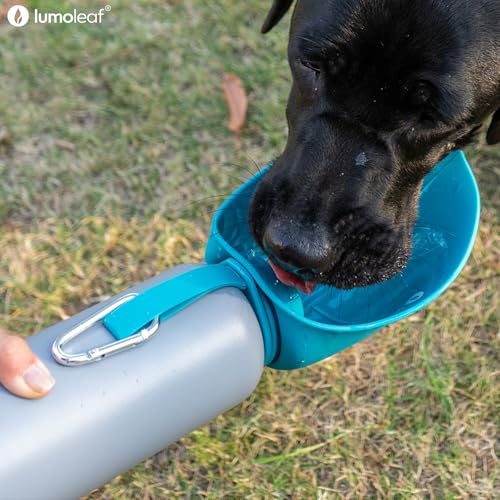 LumoLeaf Insulated Stainless Steel Water Bottle for Dogs 800ml - Keeps Water Cool or Warm for Hours Durable & Portable for Travel, Wide Mouth for Easy Filling & Cleaning (Bleu, 800ml)