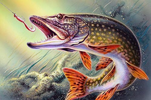Anhalt DIY 5D Diamond Painting Adults'Paint-By-Number Kits DIY 5D Diamond Embroidery Painting Cross Stitch Craft Fish Pattern Home and Office Decor Gift for Christmas Burthday Party 40x30cm