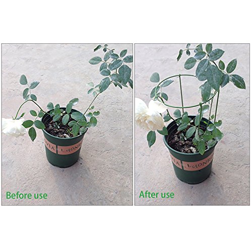 2 rescozy+Small+Garden+Plant+Support