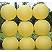 5 Packs Yellow Round Paper Lanterns Chinese Lanterns 12 inch Large Hanging Ball Decorations for Halloween Birthday Bridal Wedding Baby Shower Parties Assorted Sizes (Yellow, 12'')