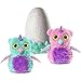 Hatchimals Glittering Garden - EXCLUSIVE Twinkling Owlicorn