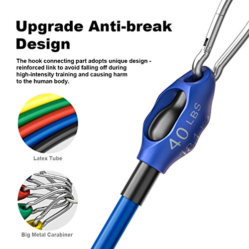 big 5 exercise bands