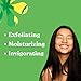 ASUTRA Dead Sea Salt Essential Oil Body Scrub Exfoliator (Cooling Cucumber), 16 oz - Ultra Hydrating, Gentle, & Moisturizing - Coconut, Cucumber, and Peppermint Oils