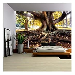 Centenarian Tree with Large Trunk and Big Roots Above The Ground - Removable Wall Mural | Self-Adhesive Large Wallpaper - 66x96 inches