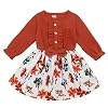 DaMohony Pasgeboren Baby Meisje Kleding Baby Meisje Jurk Outfit Lange Mouwen Bloemen Rok Party Prinses Jurken