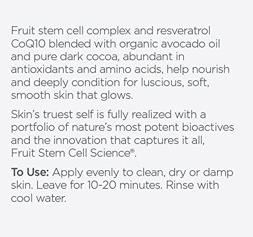 Andalou Naturals Avo Cocoa Skin Food Mask, 1.7 Ounce