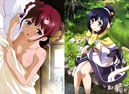 Amazon 2つ折りピンナップポスター 両面イラスト Valkyrie Drive Mermaid うたわれるもの 偽りの仮面 メガミマガジン アニメ 萌えグッズ 通販