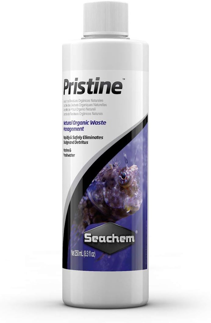 pristine chic skincare amazon