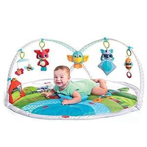 Tiny Love Super Deluxe Lights and Music Gymini Activity Gym