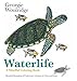 Waterlife: A Mindful Coloring Book by 