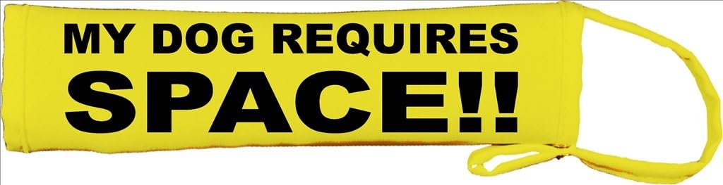 pocket bully pitbull