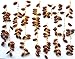 Organic Fresh Deglet Noor Dates On The Vine (11 lbs)
