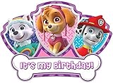 PAW Patrol - Birthday Girl - For Light-Colored Materials - Everest Skye Marshall - Iron On Heat Transfer 7