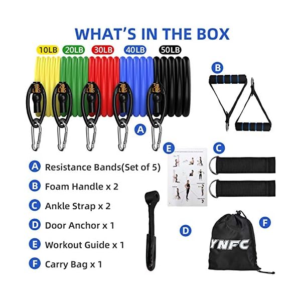 YNFC-Resistance-Bands-Set-Exercise-Bands-Indoor-Fitness-Bands-with-Door-Anchor-Handles-Home-Gym-Equipment-Legs-Ankle-for-Resistance-Training-Home-Workouts-Fitness YNFC Resistance Bands Set Exercise Bands, Indoor Fitness Bands with Door Anchor & Handles, Home Gym Equipment Legs Ankle…