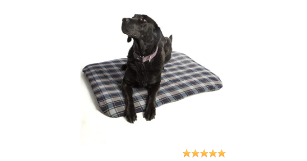 magnetic dog bed