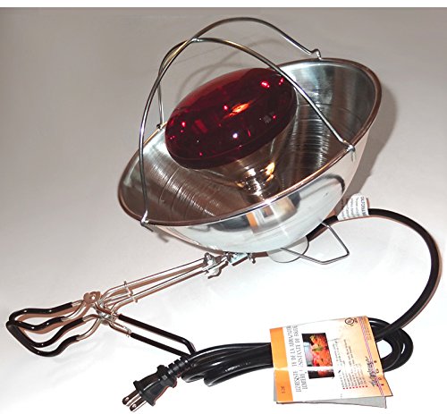 Infrared Light - Heat Therapy Lamp - Teflon Coated Bulb & Heavy Duty Clamp Kit
