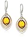 Amazon Essentials Gold Plated Sterling Silver Honey Amber Drop Earrings, (previously Amazon Collection)