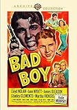 BAD BOY / (FULL MOD)                               image