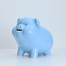 11'' Large Piggy Bank for Adults Must Break to Open,Ceramic Coin