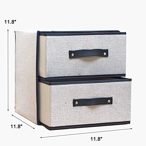 Aobeau 2 Layered Drawer Closet Dresser Foldable Storage Box With