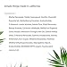 By Rosie Jane Fragrance Oil (James) - Clean Fragrance for Women - Essential Oil Vial with Notes of Fig, Amber, Gardenia - Paraben-Free, Vegan, Cruelty-Free, Phthalate-Free (7.5ml)