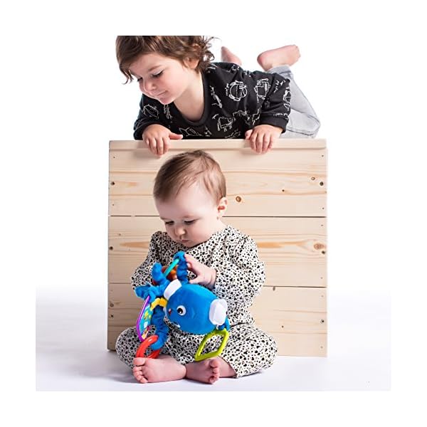 baby einstein activity arms octopus