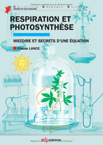 Respiration et photosynthèse