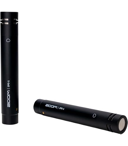 Amazon.com: Zoom ZPC-1 Matched Pencil Condenser Microphones for