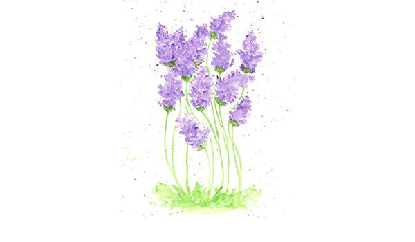 Amazon Com Watercolor Flower Print Lavender Flower Painting Handmade