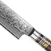 Bigsun Chef Gyutou Knife 67 Layers VG 10 Forged High Carbon Damascus Steel Kitchen cooking Knives with Resin Honeycomb Design Handle (8 Inch Chef Knife, Brown)