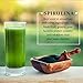 Organic Spirulina 8 oz. Purest Premium Green Superfood Powder, Vegan and USDA Certified for Quality, Safety, Maxiumum Nutrient Density by Chosen Foods