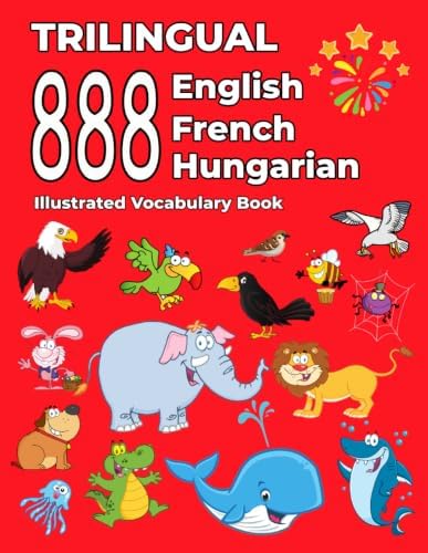 Trilingual 888 English Spanish Chinese Illustrated Vocabulary Book
