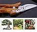 Manual Pruning Shears, Hand Scissors with Ergonomic Handles, Perfect for Any Garden – Sharp Rose Scissorsthumb 4